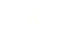 Schenka White Logo